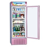 Walton Beverage Cooler WBB-2F0-TDXX-XX - 260 Ltr