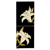 Transtec Top Mounted Refrigerator | TRK-269G Infinity Black(Floral) | 269L