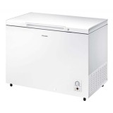 Samsung Freezer ZR31FARAEWW/UT | 304 L