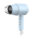Walton WHD-P06 (Hair Dryer)