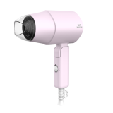 Walton WHD-P06 (Hair Dryer)